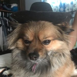 Meet your Posher, Annabelle